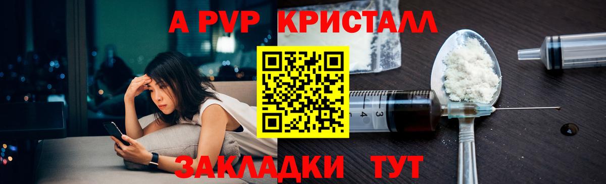 Альфа ПВП СК КРИС  Вход с VPN  Пугачёв  Alpha PVP СК КРИС 