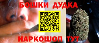 молекула духа Ставрополь
