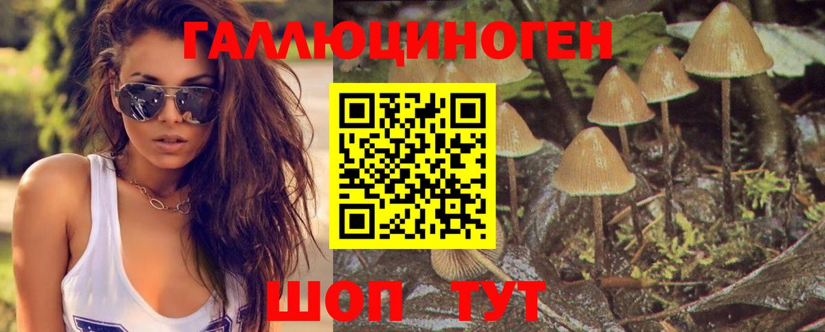 Галлюциногенные грибы мицелий  Вход с VPN  Пугачёв 